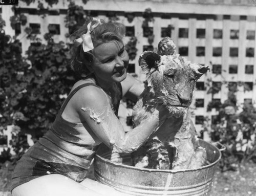 Woman washing lion