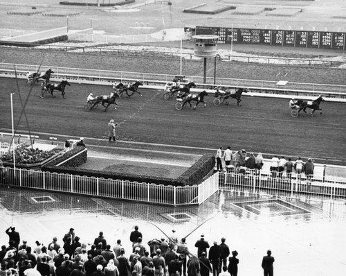 Harness racing at Santa Anita racetrack