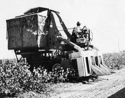 Cotton picking machine