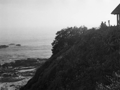 Cliffs at Laguna Beach