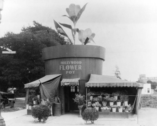 Hollywood Flower Pot