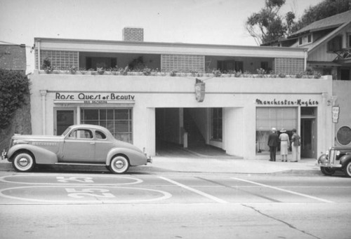 Rose Quest of Beauty and Manchester Roughes, Laguna Beach