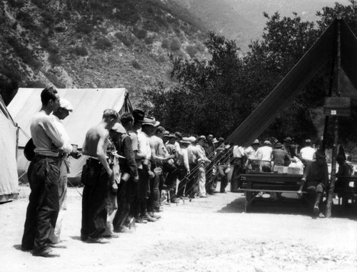 Civilian Conservation Corps reforestation, view 5