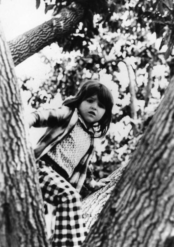 Girl climbing tree