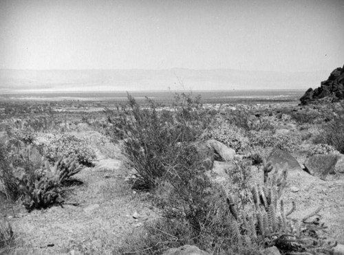 Tahquitz Canyon, Palm Springs and Colorado Desert