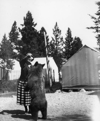 Woman feeding bear