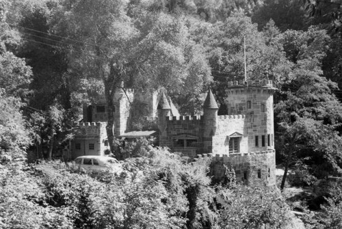 Ben Lomond castle