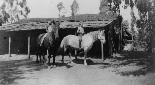 Riding horses on the farm