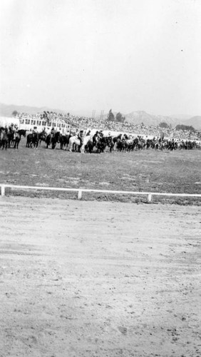 Saugus Rodeo