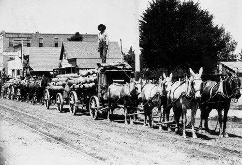 Wagons loaded with barley