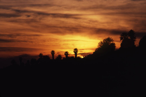 Pacific Palisades at sunset