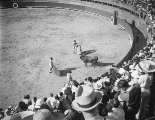 Toreros and banderilleros, El Toreo de Tijuana