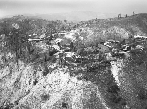 Hillside homes near Whittier