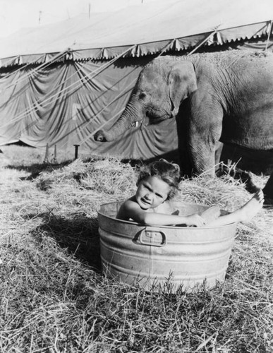 Girl bathing near elephant