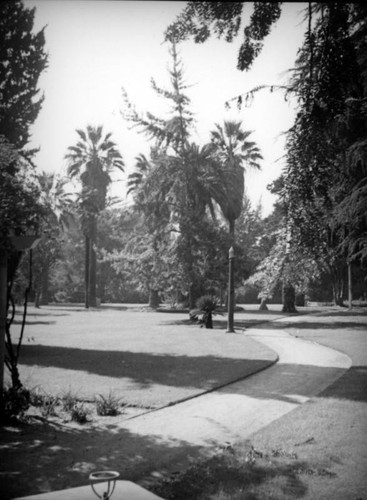 Winding path in Singer Park