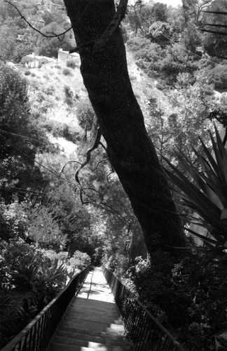 Stairway to Heaven, or, the Hollywood Hills