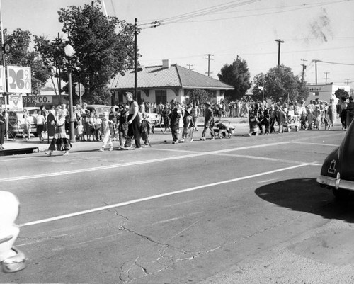 Lion parade of pets draws kids, animals