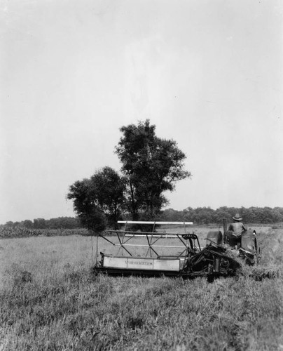 Harvesting grain