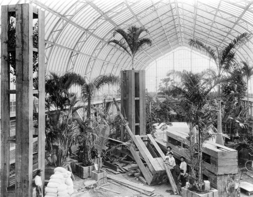 Lincoln Park conservatory, view 9