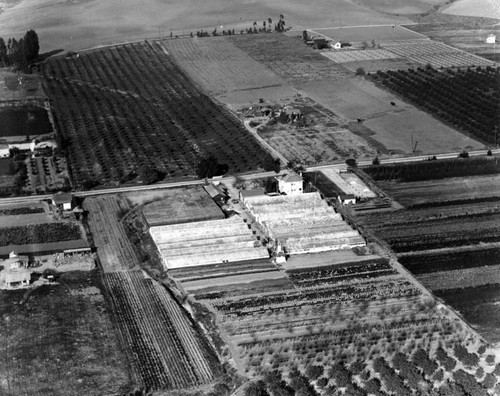 Aerial view of Lynwood and surrounding area