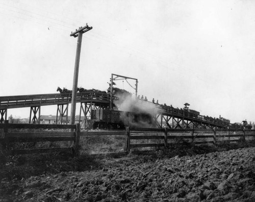 Sugar beet dump in Compton