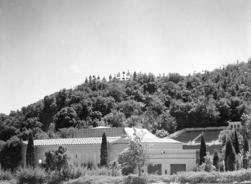 Trees, Greek Theatre