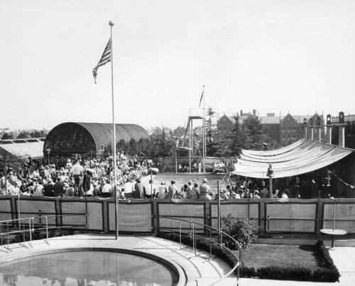 Swimming and diving event at the pool