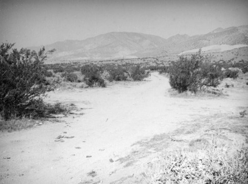 San Gorgonio Pass