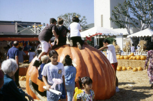 Harvest Festival, Farmers Market