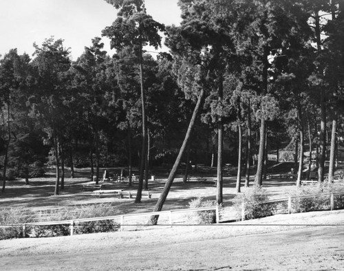 Picnic area in Elysian Park