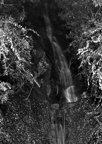 Waterfall on Harold Lloyd estate