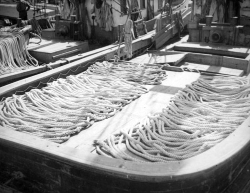 Rope drying on deck at Terminal Island