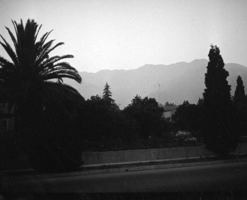 Street in Altadena