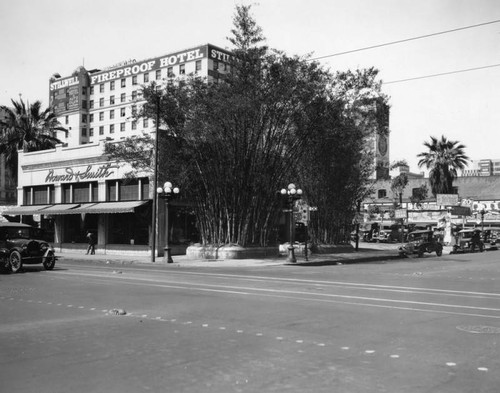 Stillwell Hotel behind the trees