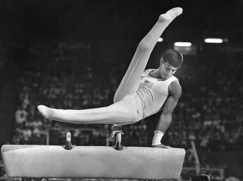 Exercise on the vaulting-horse