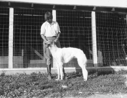 Training Borzoi dogs, view 2