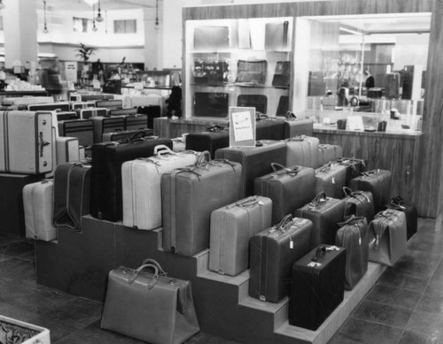 Luggage display in a department store