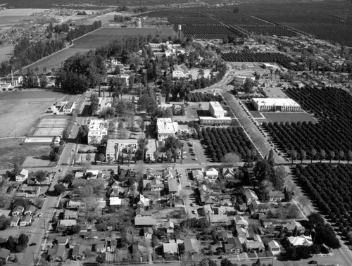 College of Medical Evangelists, Loma Linda, looking east