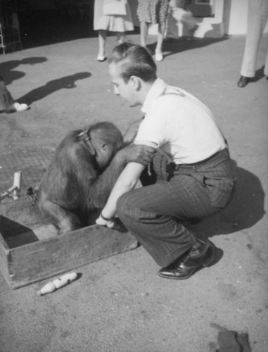 Picking up a young orangutan at Monkey Island