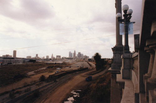 Abandoned Cornfield, view 6