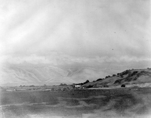 View of alfalfa ranch