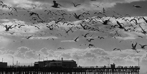 Santa Monica Pier