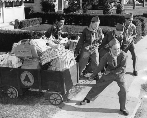 Boy Scouts help with paper drive