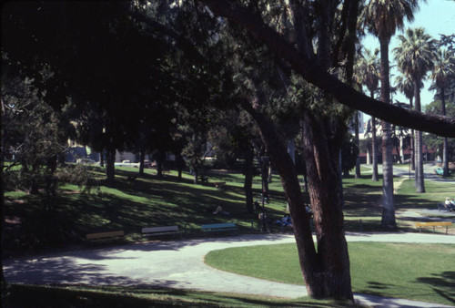 MacArthur Park