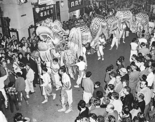 Dragon dances in Chinese New Year's celebration