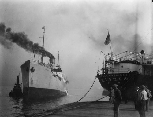 Horses arrive at harbor