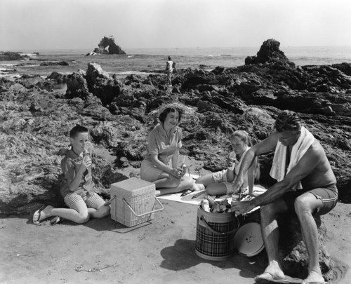 Family picnic