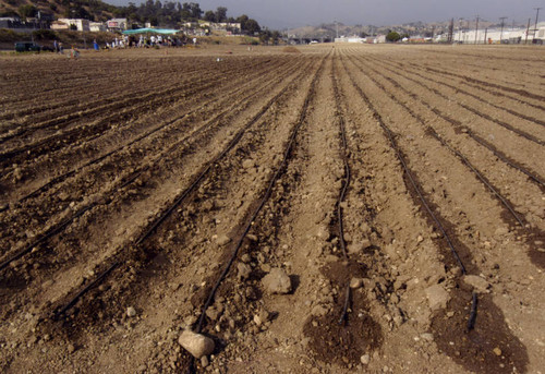 Irrigation at "Not a Cornfield" field