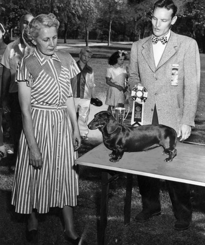 Dachshund pup from Pacoima Best of Show