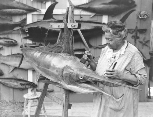 Woman preserves swordfish